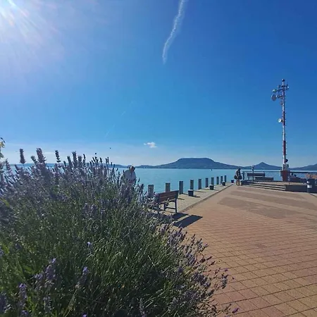 Apartamento In - Balaton 36989 *