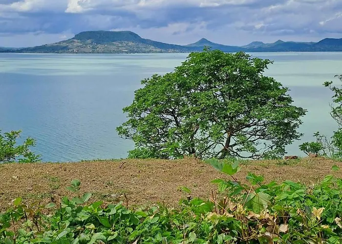 In - Balaton 36989 * Fonyód